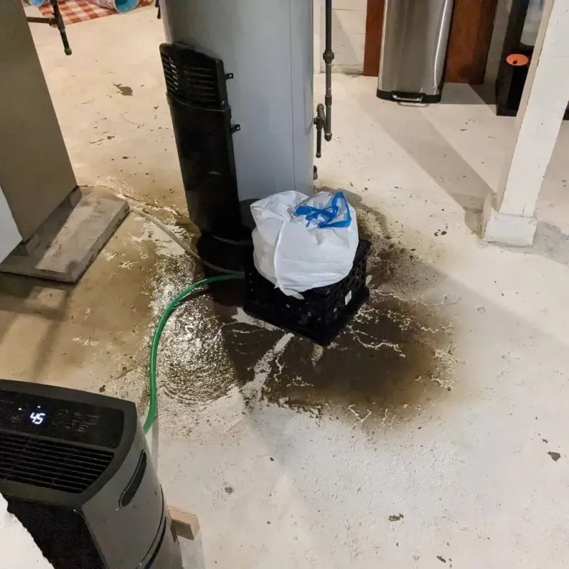 Sewage Backup Cleanup Service in Weaverville, CA